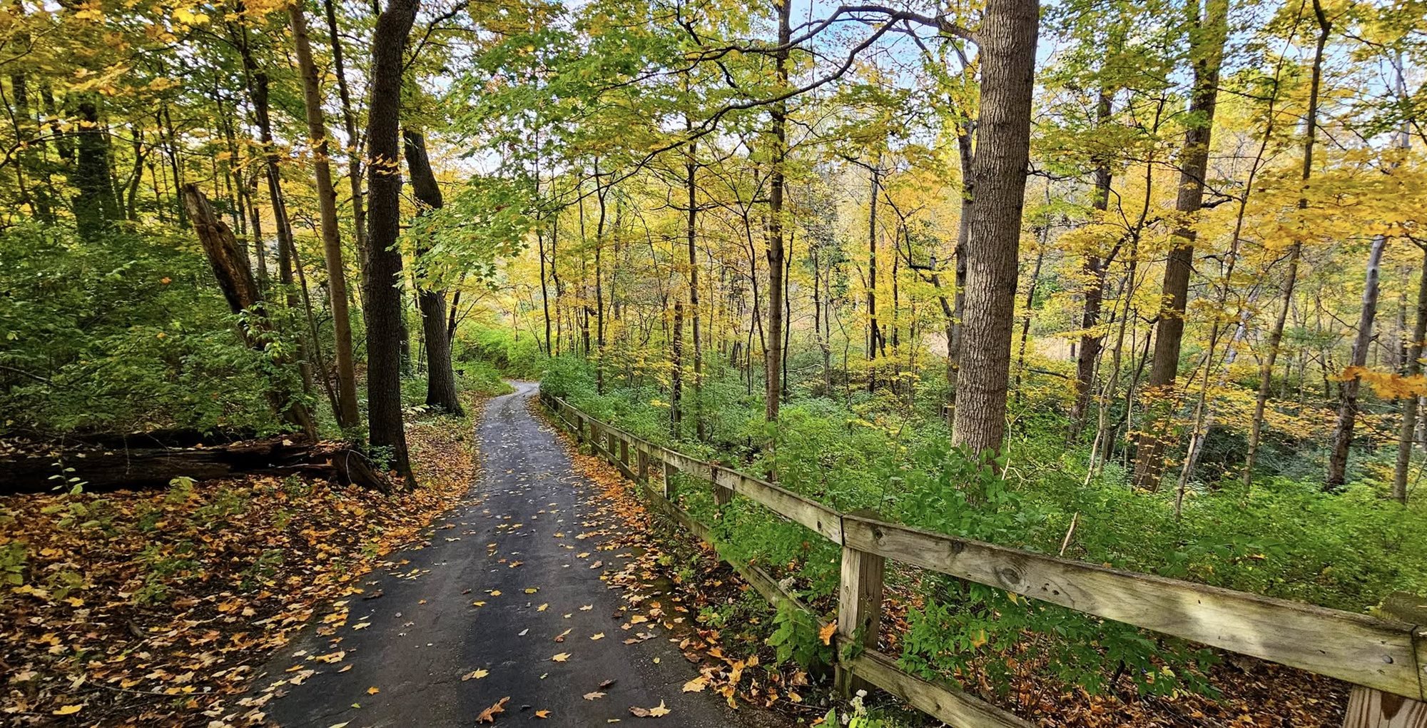 572851765_1381553043971145_8169511060292536981_n