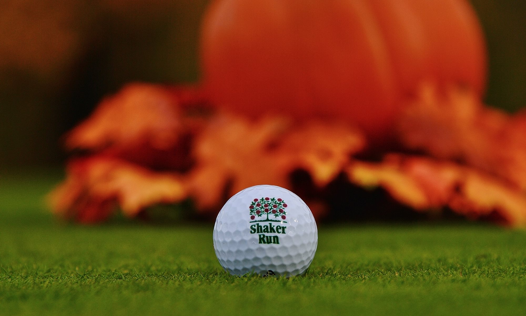 572463567_1384424307017352_229513741259275748_n